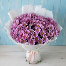 Букет цветов из:  Хризантемы в Лаголово