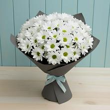 Букет цветов из:  Хризантемы #REPLACE_PRED# Лаголово