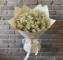 Букет цветов из:  Ромашки в Лаголово
