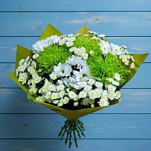 Букет цветов из:  Хризантемы в Лаголово