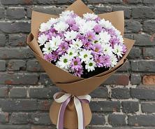 Букет цветов из:  Хризантемы в Лаголово