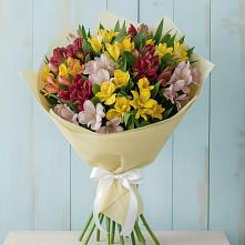 Букет цветов из:  Альстромерии #REPLACE_PRED# Лаголово