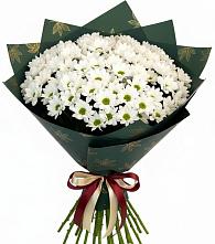 Букет цветов из:  Хризантемы в Лаголово