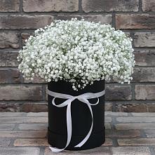 Цветочная композиция из Гипсофила в шляпной коробке в Лаголово
