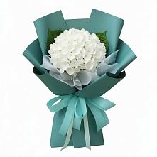 Букет цветов из:  Гортензия #REPLACE_PRED# Лаголово
